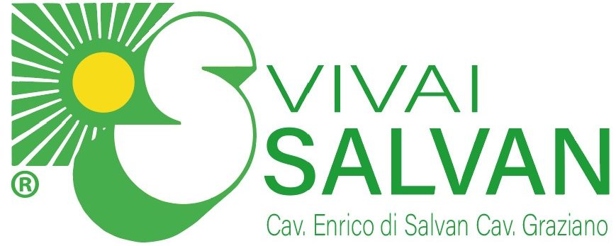 Rosso Salvan® | Il pomodoro da balcone originale