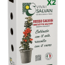 SCATOLA_x2