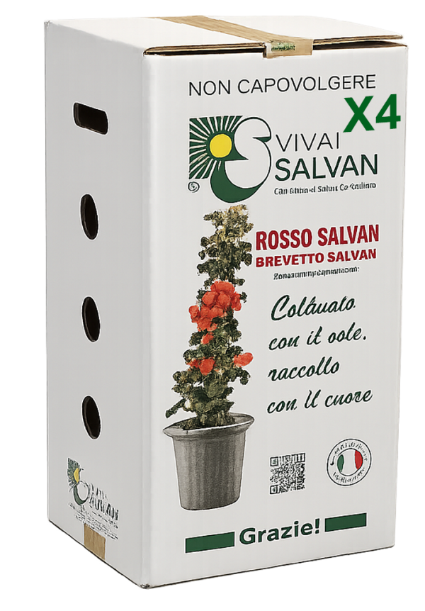 SCATOLA_x4 SCATOLA_x4