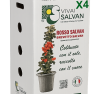 SCATOLA_x4