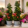 balcone_r